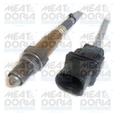 Oxygen Sensor